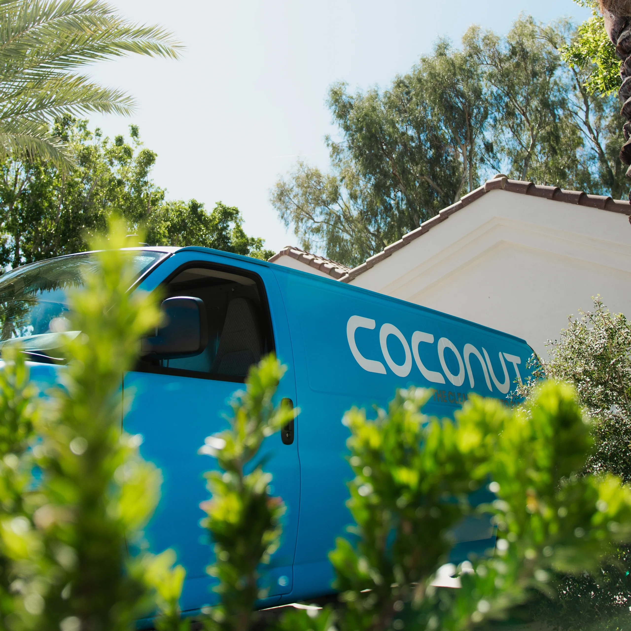 Coconut Cleaning brand and marketing creative showcasing residential carpet cleaning services