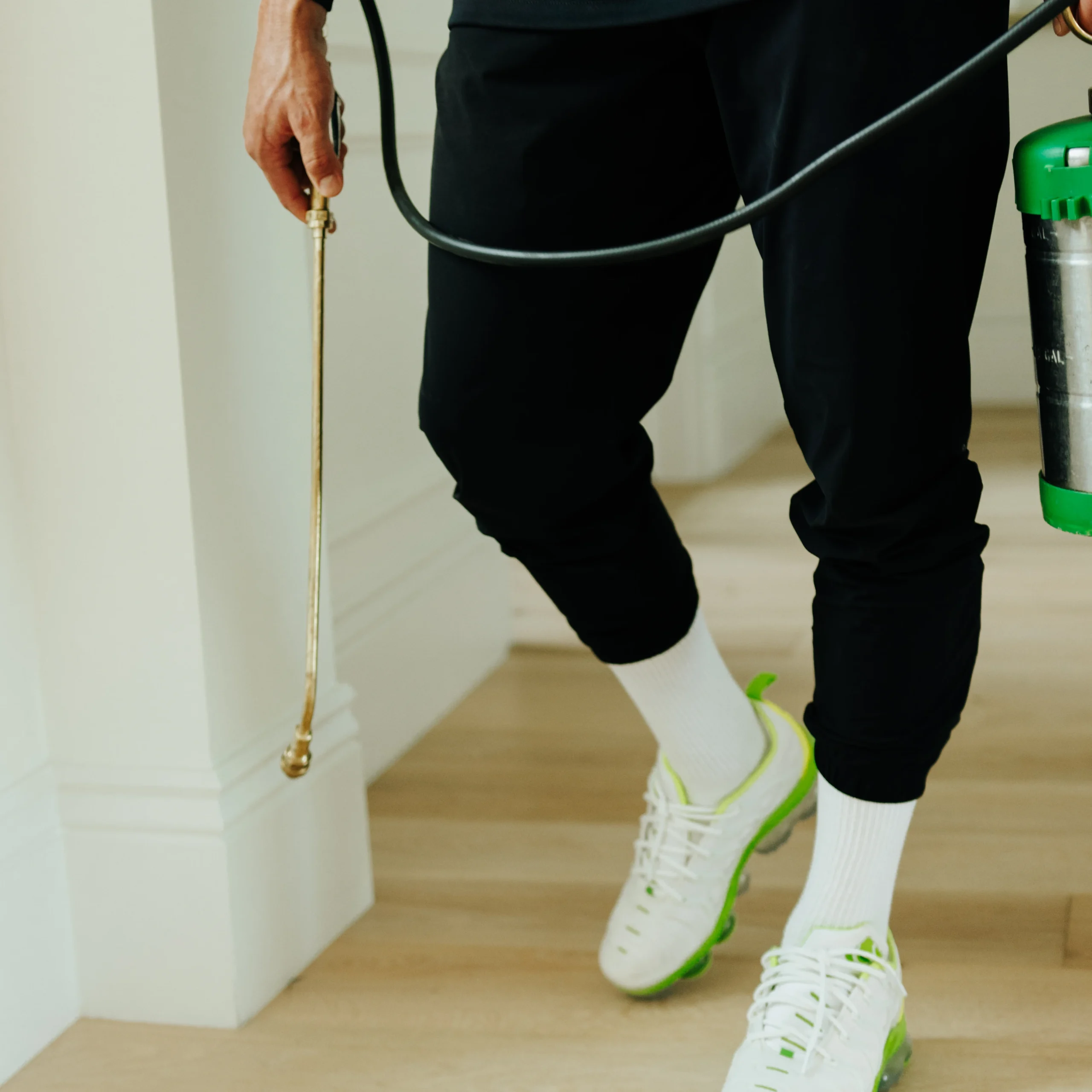 Alt Text: Green Mango Pest Control branding and marketing creative for residential pest control services